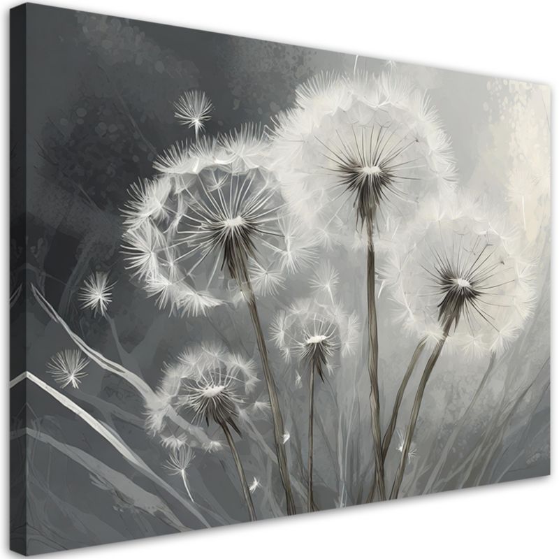 Obraz do salonu sypialni Feeby Dmuchawce Makro Białe 60x40 cm 1szt