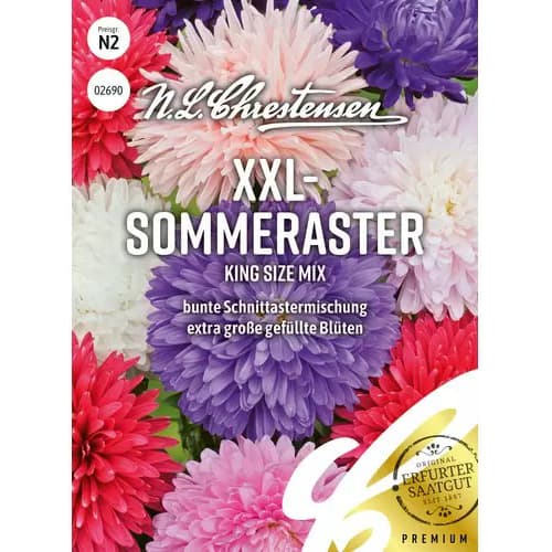 Aster XXL, mix - Nasiona. Ilość w opakowaniu: 1 opak - GradinaMax
