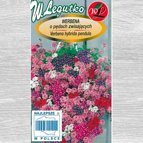 1 szt, Werbena o pędach zwisających, mieszanka Legutko - Nasiona: Ilość w opakowaniu: 0.3 g