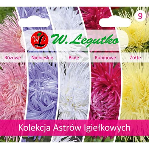 1 szt, Kolekcja Astrów igiełkowych, 5 odmian - Nasiona: Ilość w opakowaniu: 1 opak