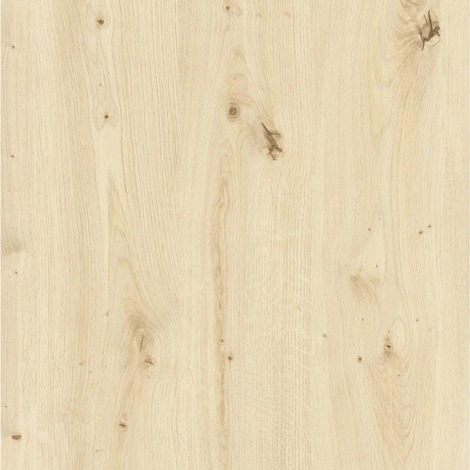 Okleina DĄB SKANDYNAWSKI beżowa 67,5 cm x 200 cm