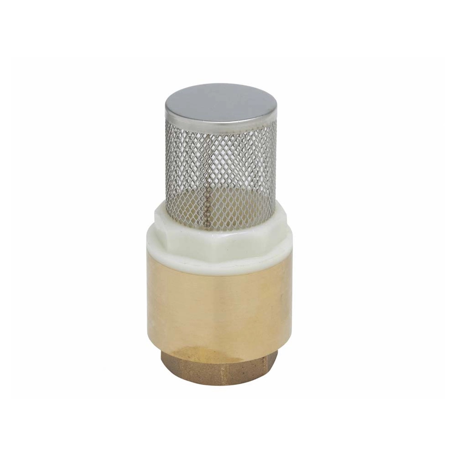 Zawór zwrotny z koszem 24,1 mm (Rp 3/4") GW