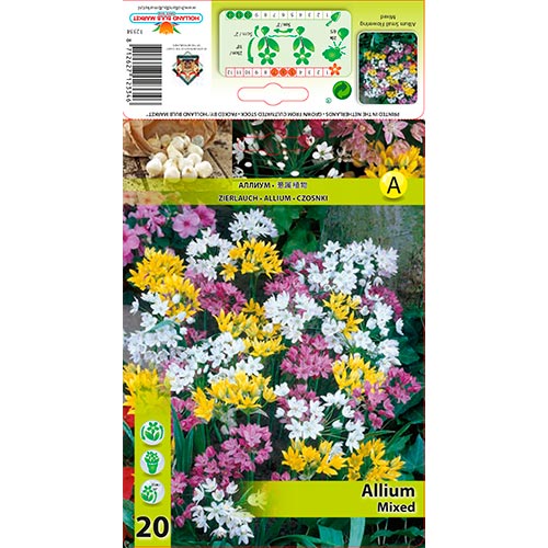 20 buc, Allium mix multicolor - Bulbi: Mod de ambalare: 20 buc