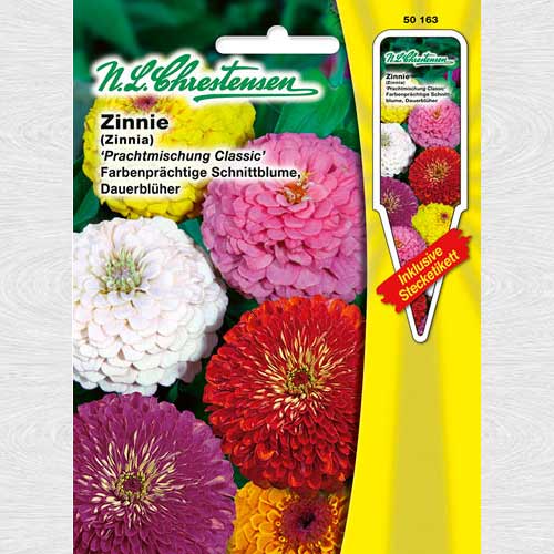 1 pac, Zinnia (Cârciumăreasă) Classic Mix, mix multicolor - Semințe: Mod de ambalare: 1 pac