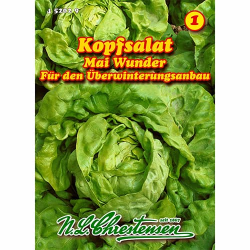 1 szt, Kopfsalat Mai Wunder - Samen: Ilość w opakowaniu: 1 Stück