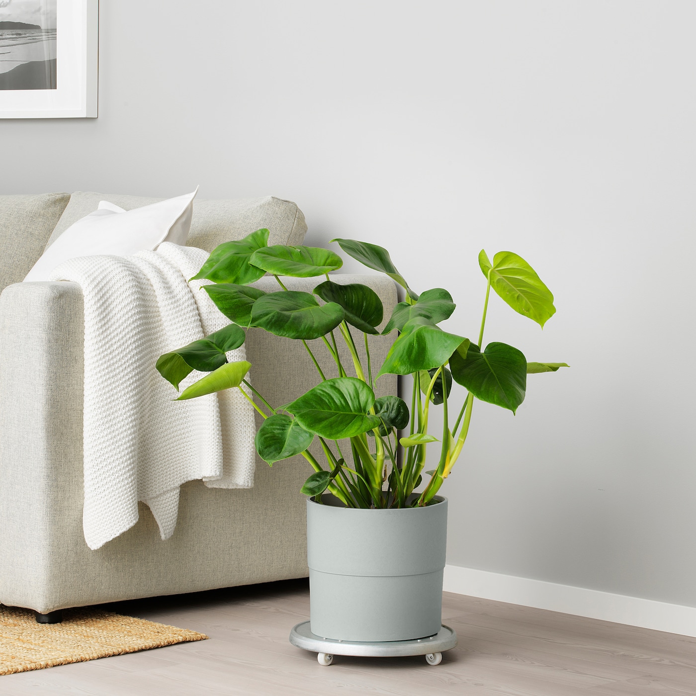 IKEA NYPON Osłonka doniczki, do wewnątrz/na zewnątrz szary, 24 cm