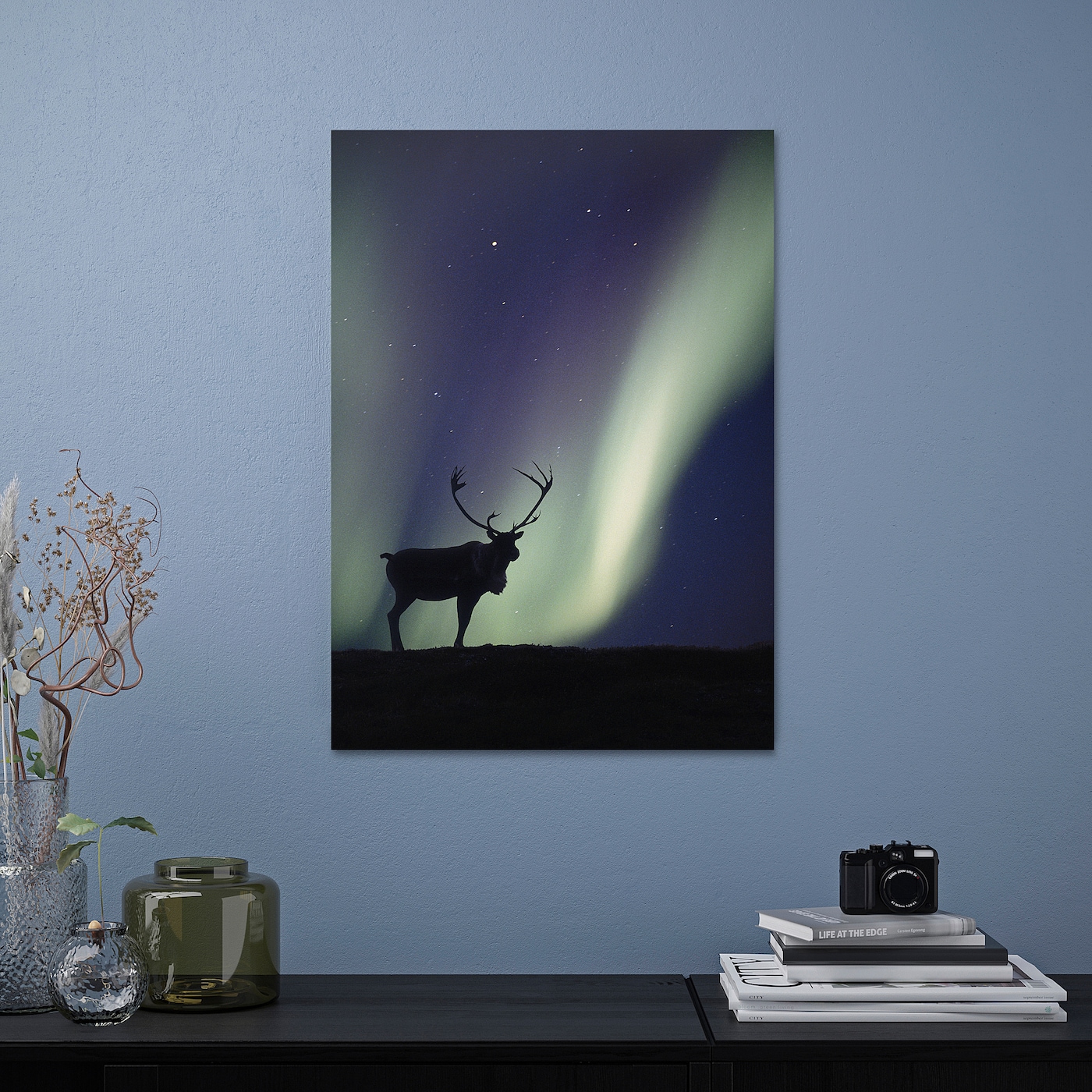 IKEA PJÄTTERYD obraz, renifer i zorza polarna, 50x70 cm