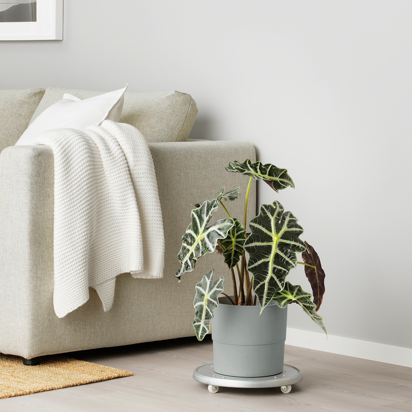 IKEA NYPON Osłonka doniczki, do wewnątrz/na zewnątrz szary, 19 cm