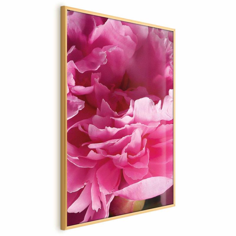 Plakat Artgeist Piękne piwonie 29,7x42 cm z ramą złotą 1 szt