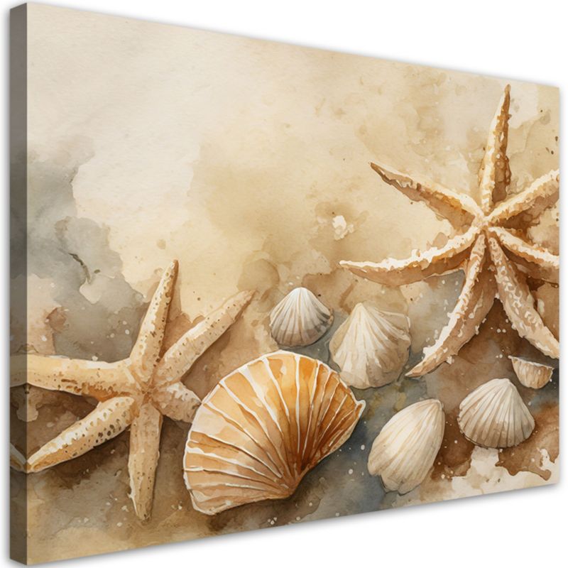 Obraz do salonu łazienki Feeby Muszle i rozgwiazdy akrylowy 120x80 cm 1szt