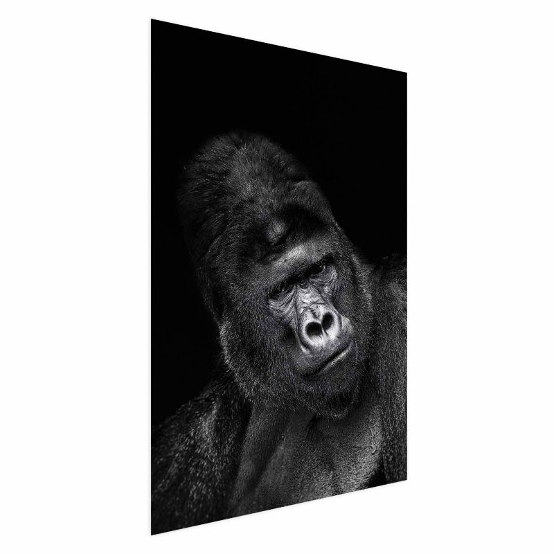 Plakat Artgeist Goryl 40x60 cm bez ramy 1 szt