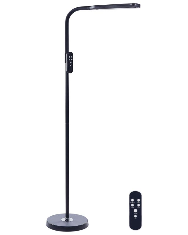 Lampa podłogowa Aries Czarny 1 szt.