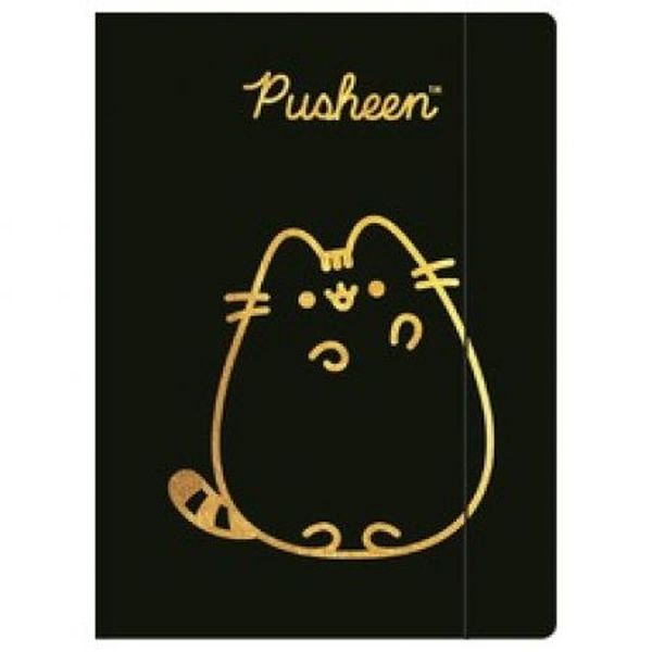 TECZKA Z GUMKĄ A4 300 g/m2 PUSHEEN GOLD