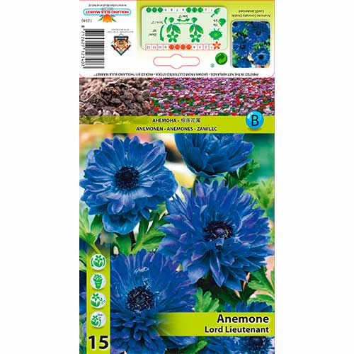 Zawilec (Anemone) Double Lord Lieutenant - Cebule, Ilość w opakowaniu: 15 szt. - GradinaMax