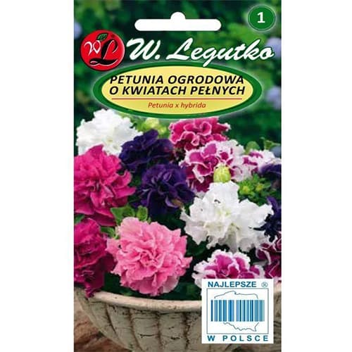 1 szt, Petunia ogrodowa zwisająca pełna Polka F2 - Nasiona: Ilość w opakowaniu: 50 szt