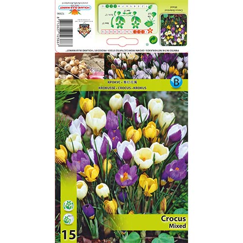 Krokus botaniczny, mix kolorów - Cebule: Ilość w opakowaniu: 15 szt. - GradinaMax