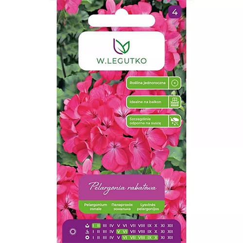 1 szt, Pelargonia rabatowa Gama F1 różowa - Nasiona: Ilość w opakowaniu: 0.05 g