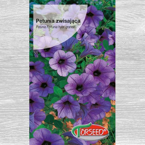 1 szt, Petunia zwisająca Fortunia - Nasiona: Ilość w opakowaniu: 0.1 g