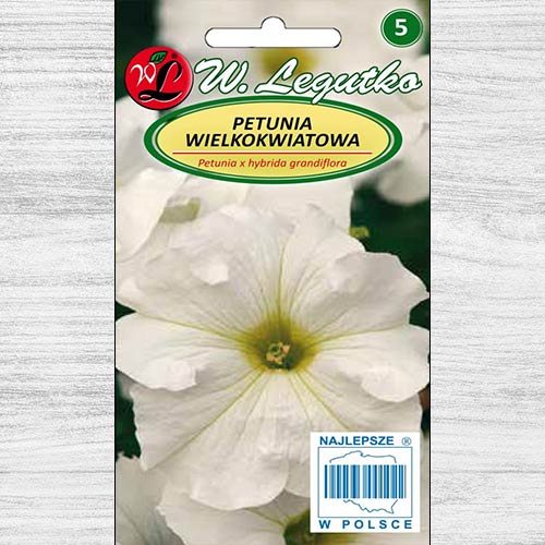 1 szt, Petunia ogrodowa wielkokwiatowa biała Legutko - Nasiona: Ilość w opakowaniu: 0.01 g