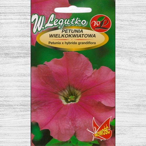 1 szt, Petunia ogrodowa wielkokwiatowa różowa - Nasiona: Ilość w opakowaniu: 0.01 g