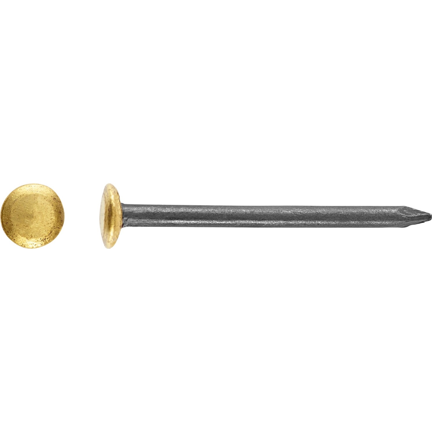 LUX Gwóźdź stalowy z podniesioną główką pokrytą mosiądzem 2 mm x 25 mm mosiądz
