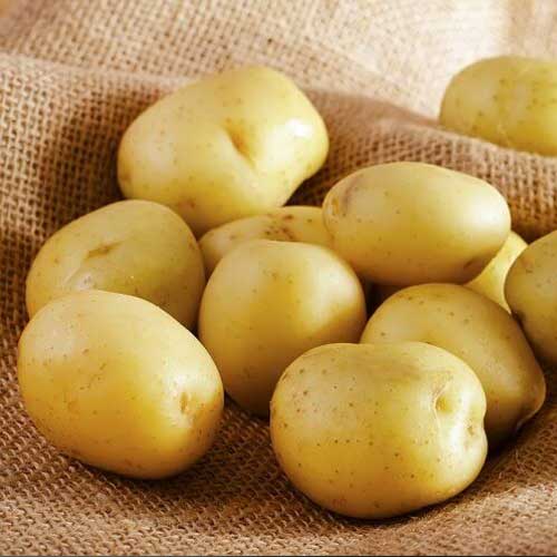 1 kg, Cartofi de sămânță Riviera - Tuberculi: Mod de ambalare: 1 kg