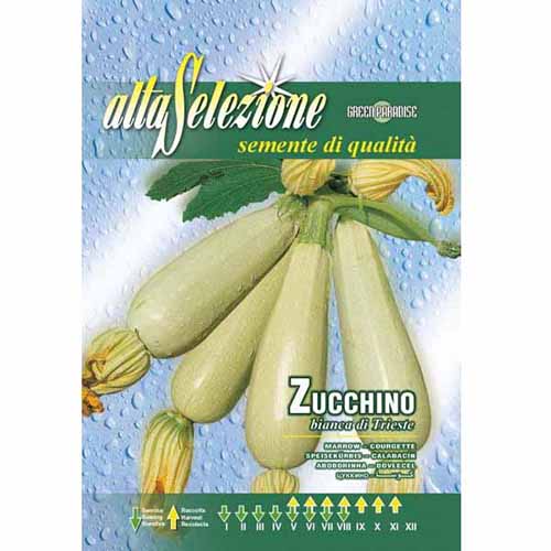 1 pac, Dovlecel zucchini Bianca di Trieste - Semințe: Mod de ambalare: 8 g