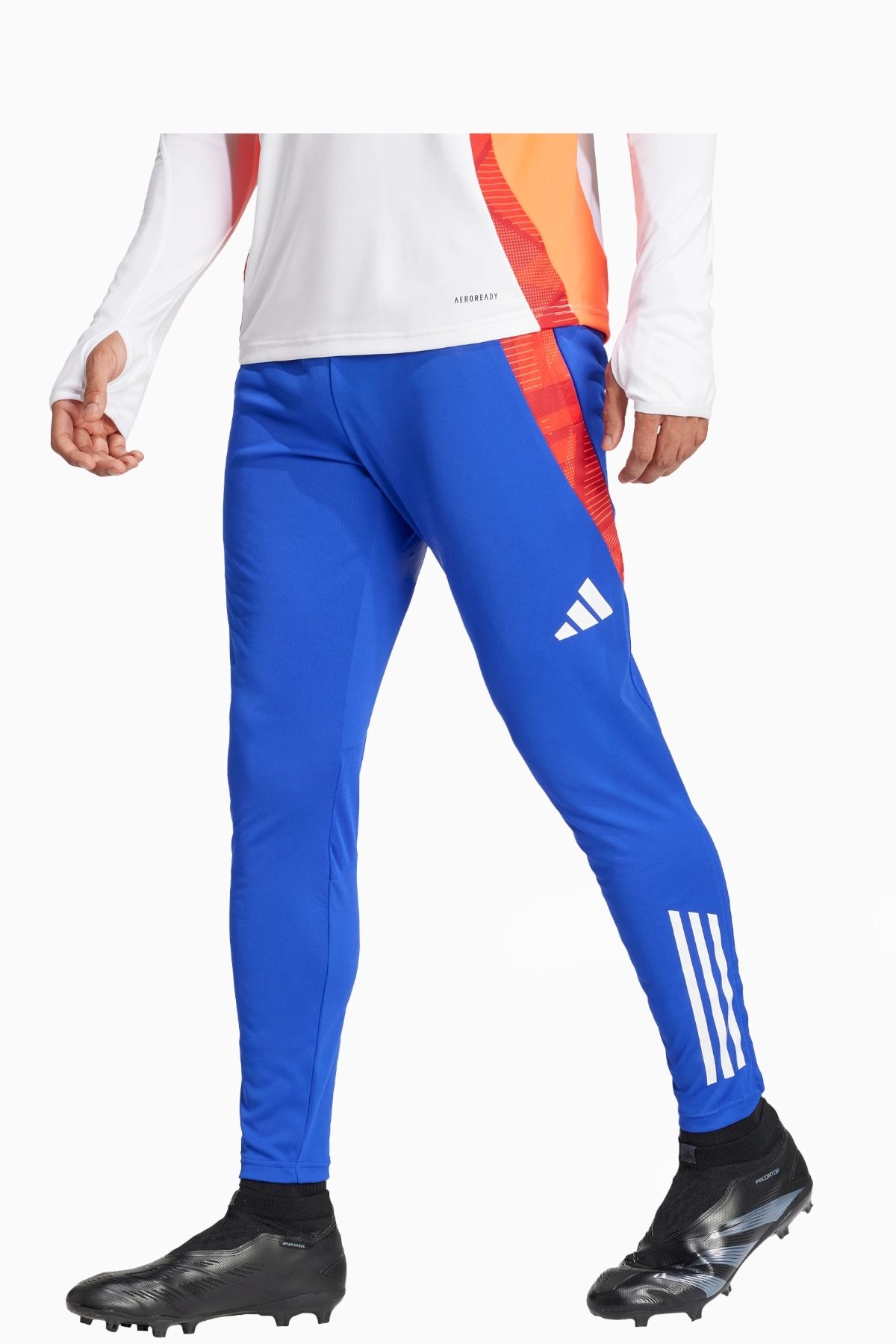 Spodnie adidas Tiro 24 Competition Training - Niebieski