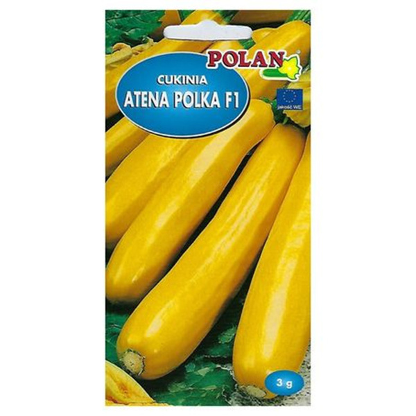 Nasiona Cukinia Atena Polka F1 3g