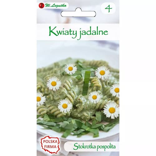1 szt, Tausendschön weiss - Samen: Ilość w opakowaniu: 0.2 g