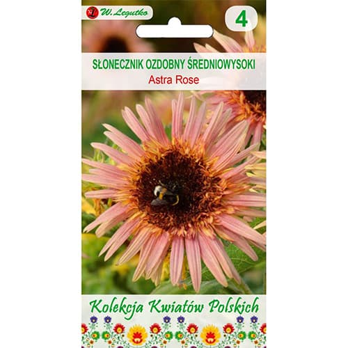 1 szt, Sonnenblume Astra Rose - Samen: Ilość w opakowaniu: 1 g