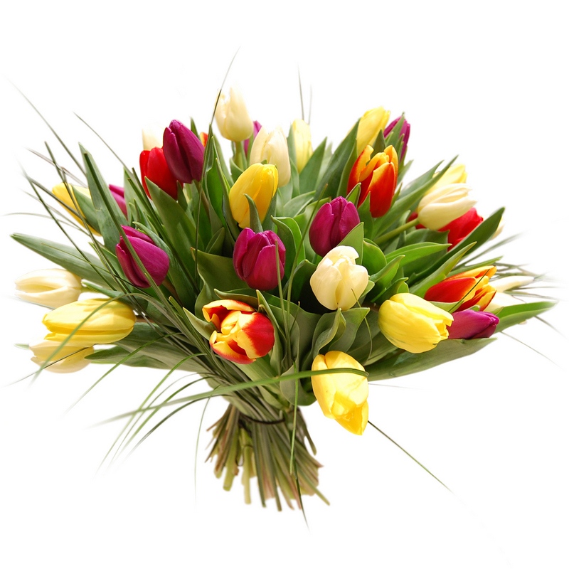 Bukiet Kolorowe tulipany