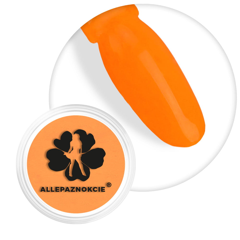 Pyłek do paznokci Smoke Nails Efekt Dymu Allepaznokcie Neon Light Orange Nr 04