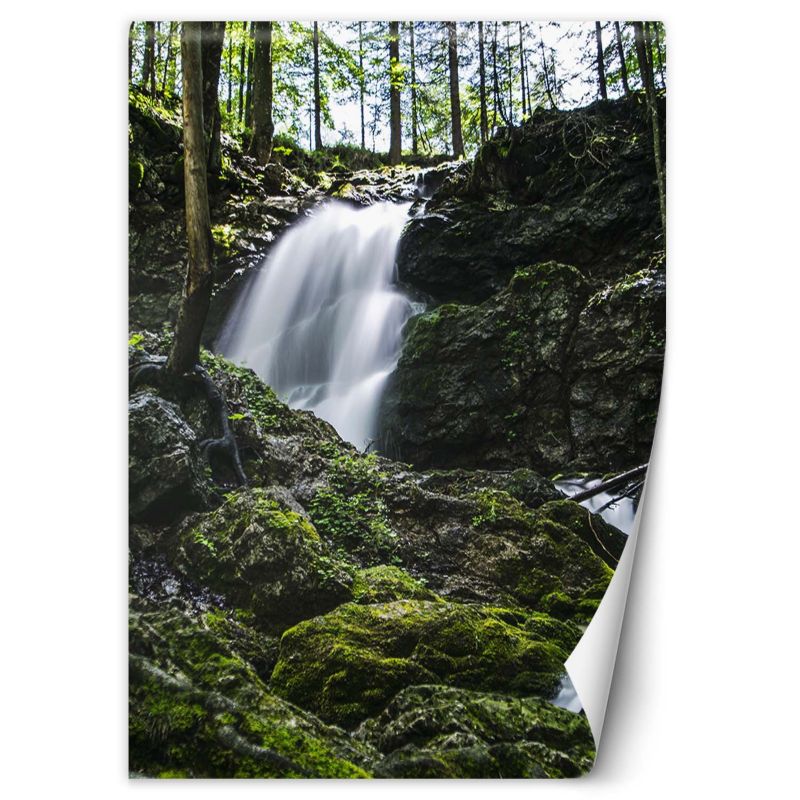 Fototapeta Feeby Wodospad w lesie 150x210 1 szt
