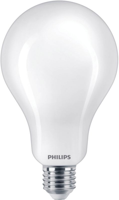 Żarówka LEDG Philips A95 E27 3452 lm 6500 K