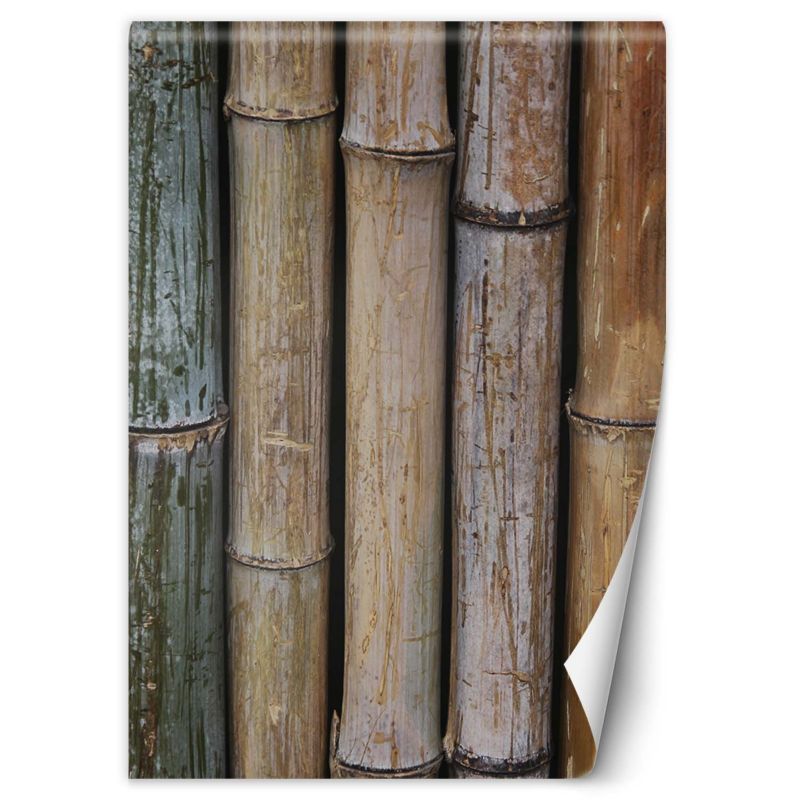 Fototapeta Feeby Pastelowe łodygi babmusa 150x210 1 szt