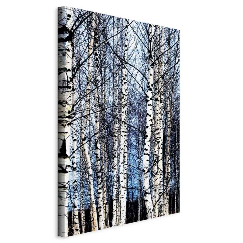Obraz Artgeist Mroźny styczeń 20 x 30 cm płótno włoskie 1 szt