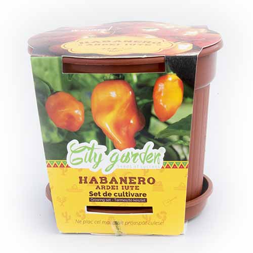1 szt, Zestaw do uprawy - Papryka ostra Habanero Orange - Nasiona: Ilość w opakowaniu: 1 opak