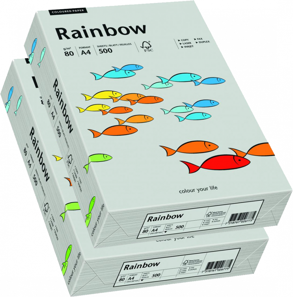 2x Papier ksero ekologiczny Rainbow, A4, 80g/m2, 500 arkuszy, szary (R96)