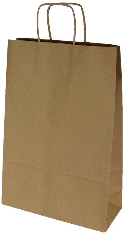 Torba papierowa Ecobag, 240x100x320mm, 300 sztuk, brązowy