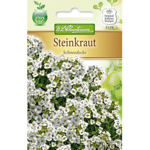 1 pac, Lobularia Snow - Semințe: Mod de ambalare: 1 pac