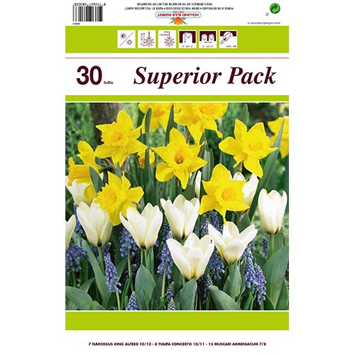 Ofertă specială! Narcise, Lalele si Muscari, set de 30 de bulbi - Bulbi: Mod de ambalare: 30 buc