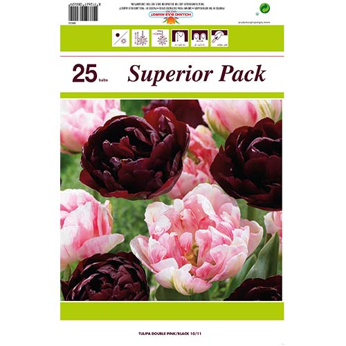 25 kus, Super nabidka! Sada plnokvetych tulipanu z 2 odrud - : Monžstvo balíkov: 25 kus