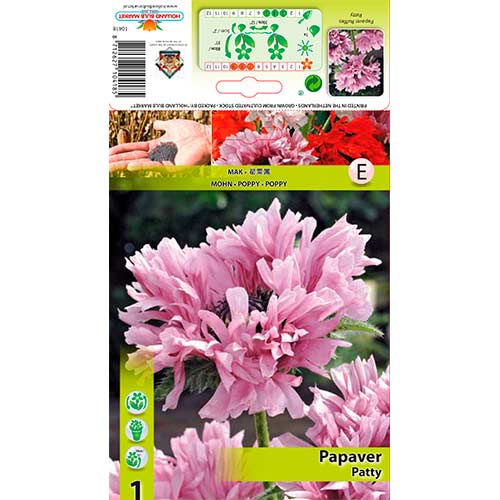 1 cib, Mák východní Ruffled Patty - : Monžstvo balíkov: 1 cib