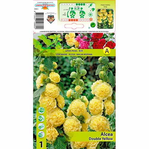 1 db, Mályvarózsa (Alcea) Double Yellow - Évelő: Mod de ambalare: 1 db