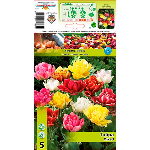 Tulipán double, mix - Hagymák: Mod de ambalare: 5 db