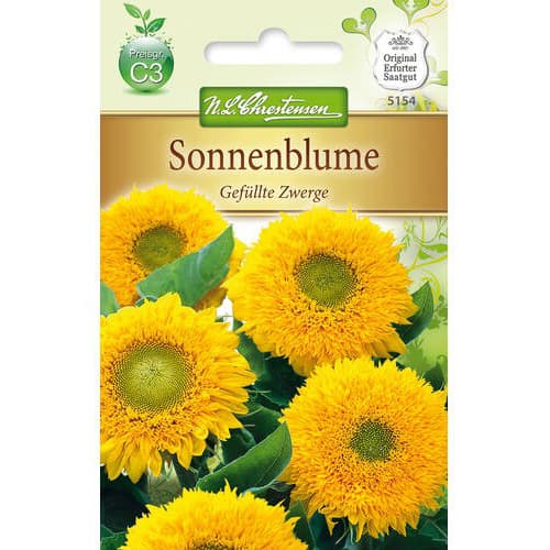 1 szt, Sonnenblume Gefüllte Zwerge - Samen: Ilość w opakowaniu: 1 Stück