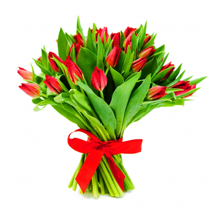 Czerwone tulipany od 25 do 75 sztuk
