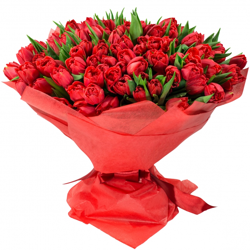 Kobiece tulipany