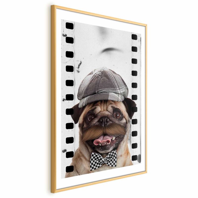 Plakat Artgeist Mops w czapce 29,7x42 cm z ramą złotą 1 szt